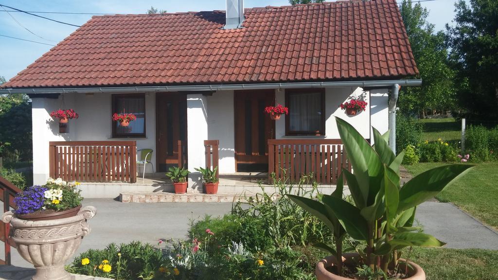 Guest House Family Dukic Rakovica Rum bild