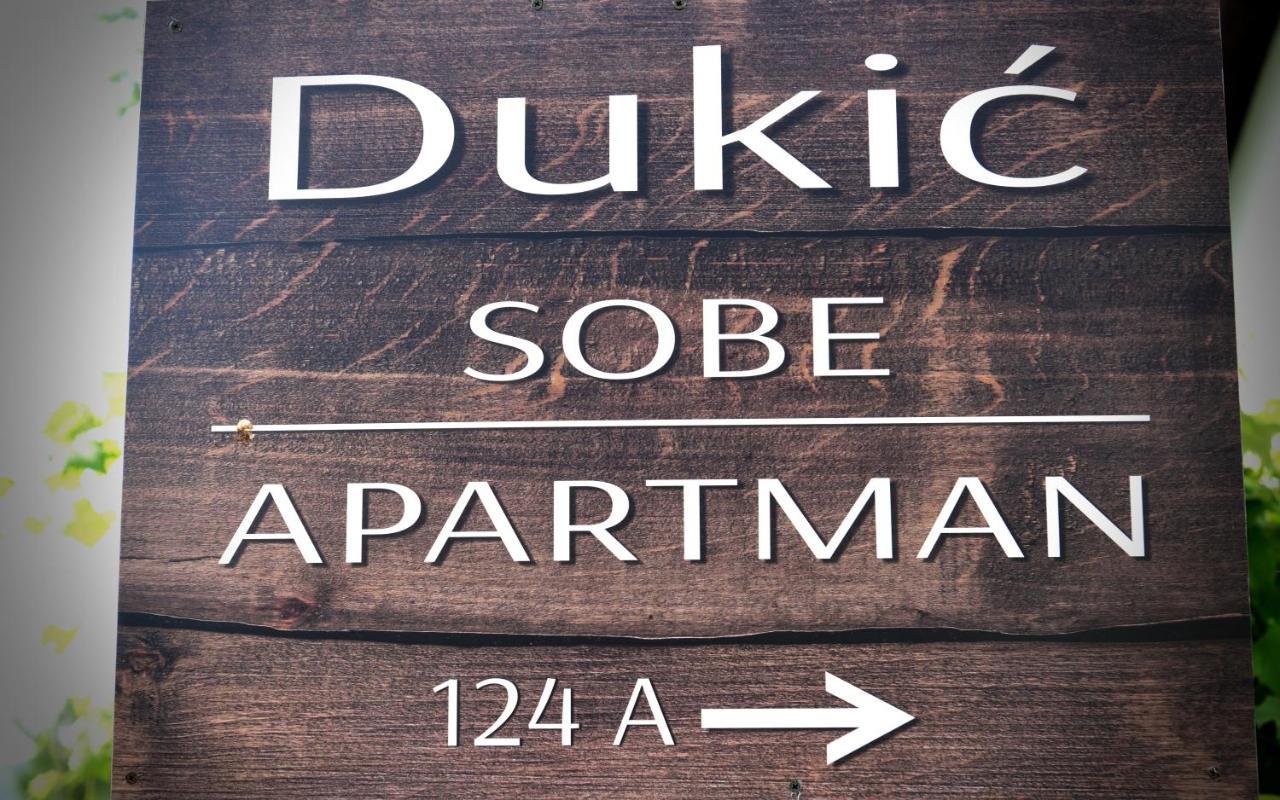 Guest House Family Dukic Rakovica Exteriör bild